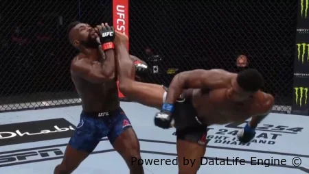 (LIVE) UFC Fight Night 291: Бакли vs Мэлотт в прямом эфире от 17.10.2026 смотреть онлайн